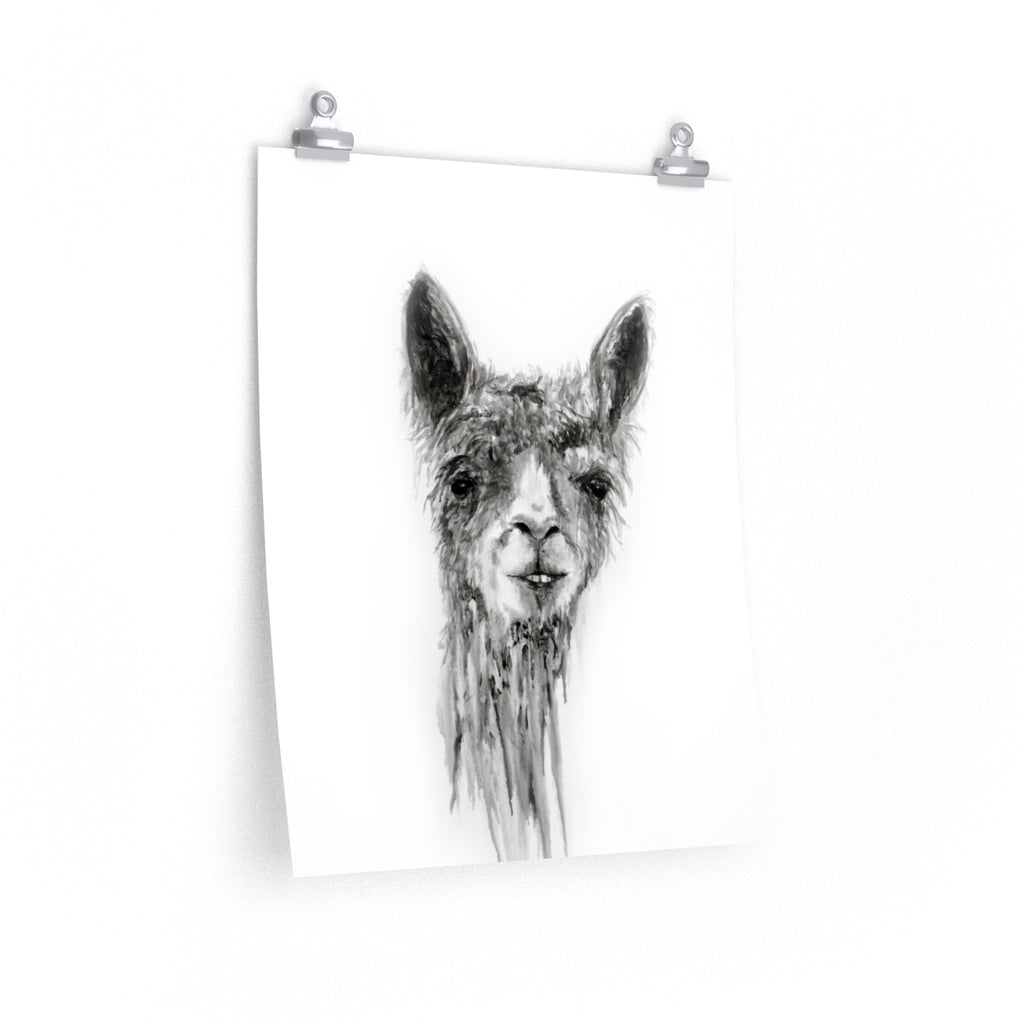BILLY Llama- Art Paper Print