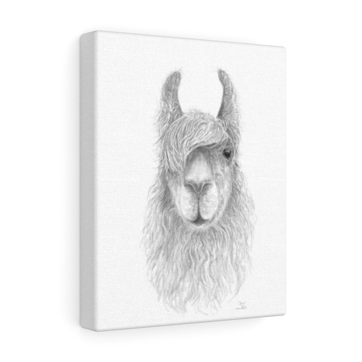 CHRIS Llama - Art Canvas