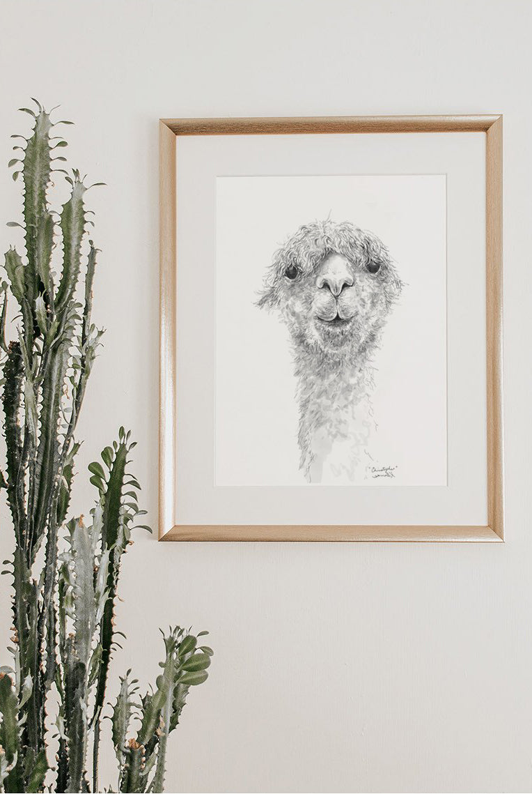 Llama Art for Bohemian Style decor. Shop art prints, pillows, mugs and more from Nashville artist, Kristin Llamas.