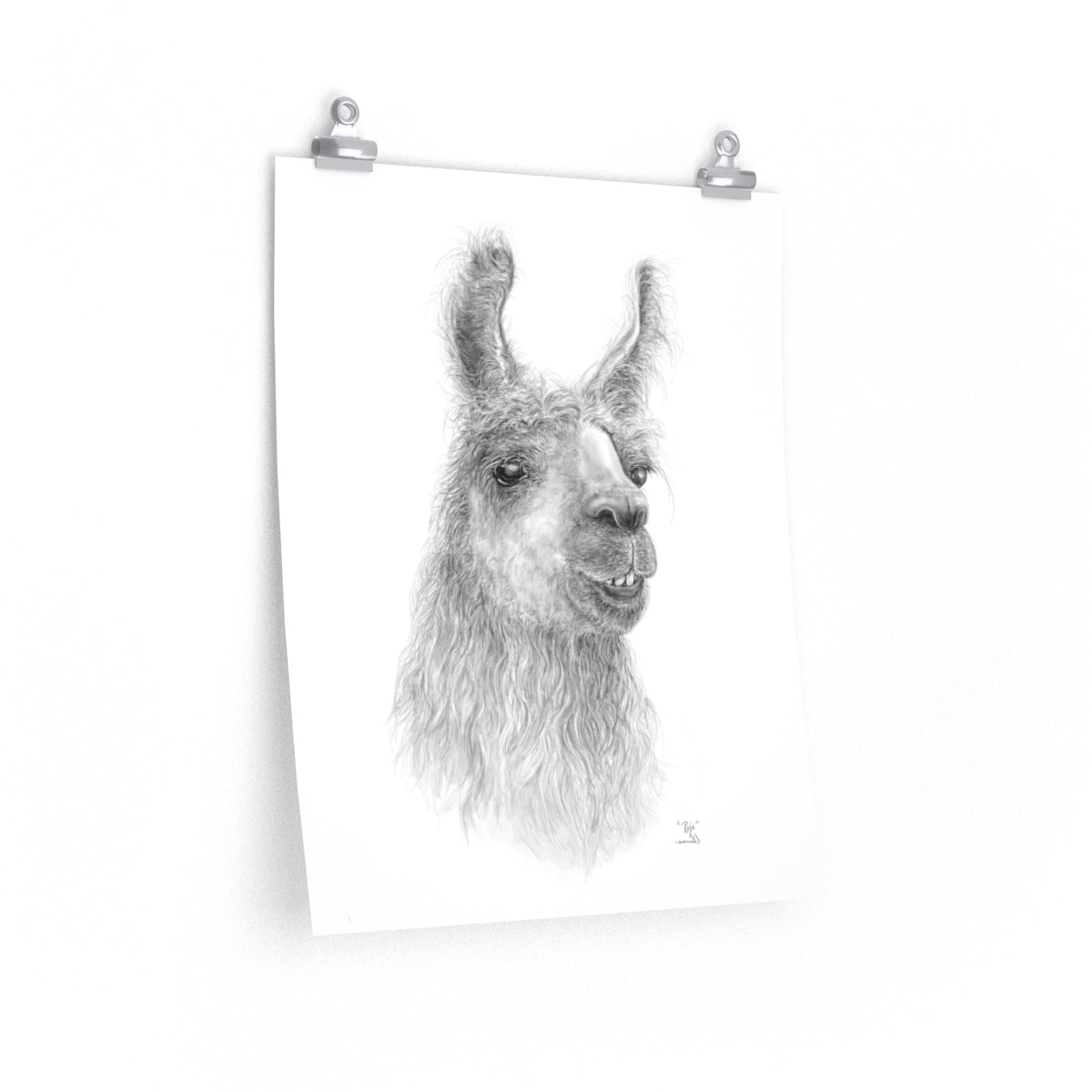 Copy of BILLIE-JO Llama- Art Paper Print