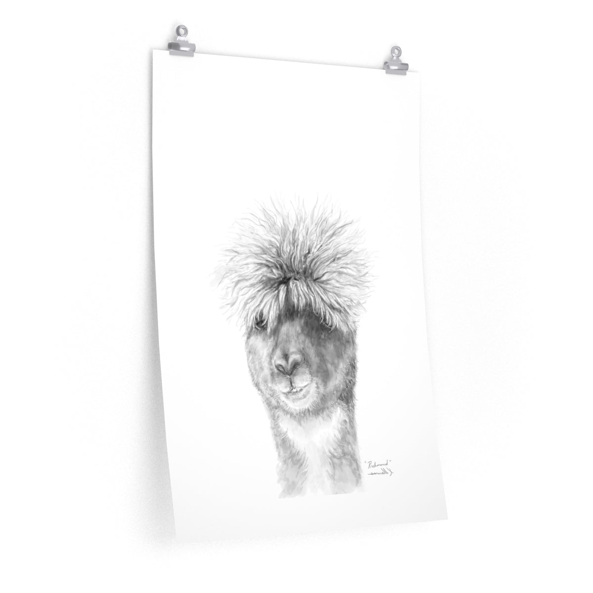 RICHMOND Llama- Art Paper Print