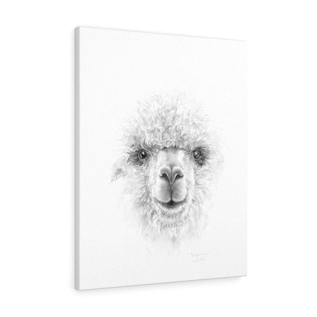 BENJAMIN Llama - Art Canvas