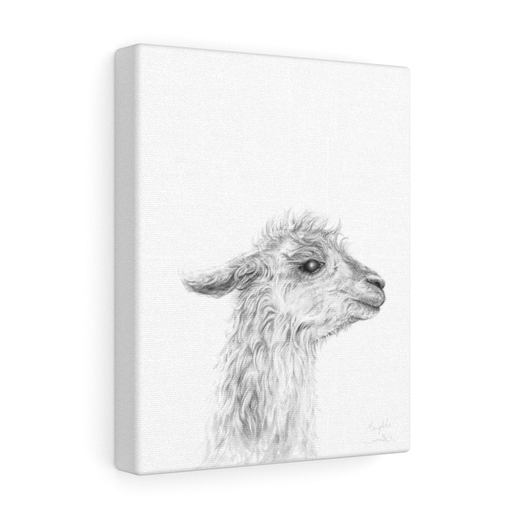 MENKHA - Canvas