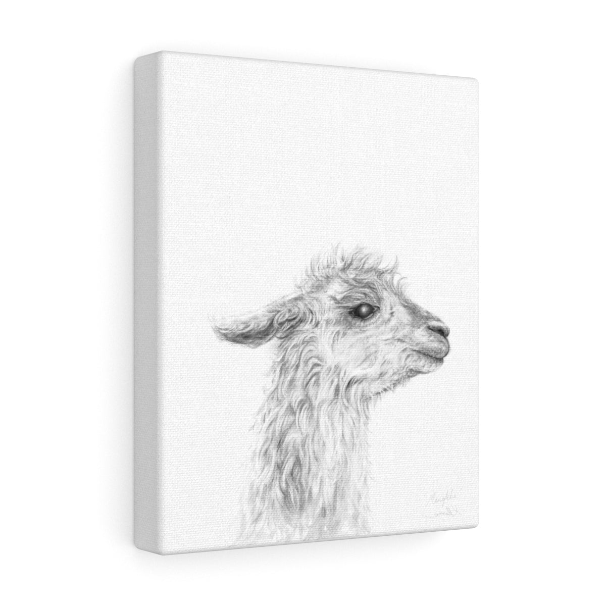 MENKHA - Canvas
