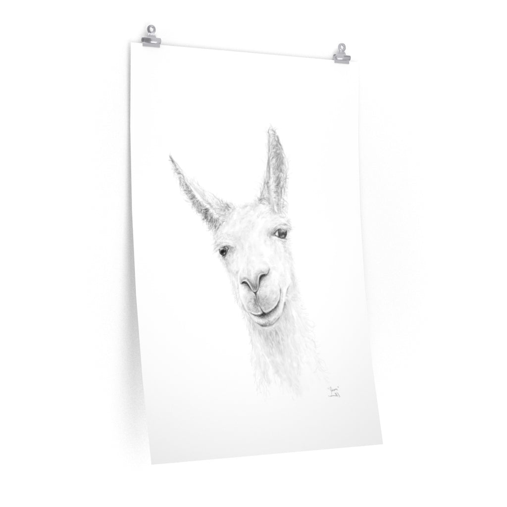 JASON Llama- Art Paper Print