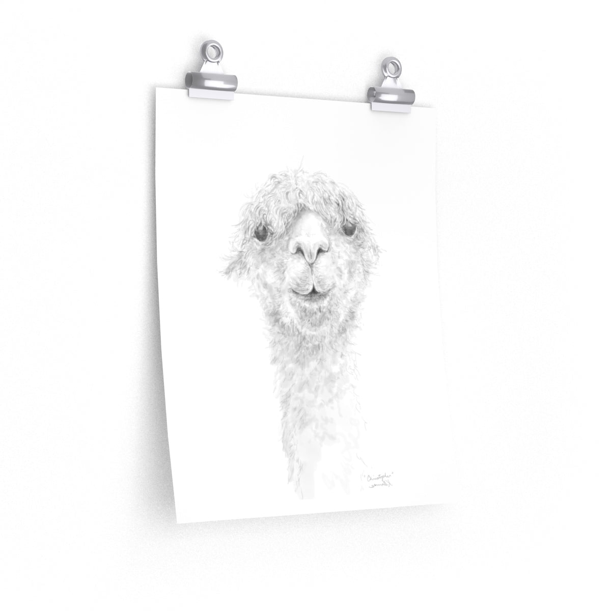 CHRISTOPHER Llama- Art Paper Print