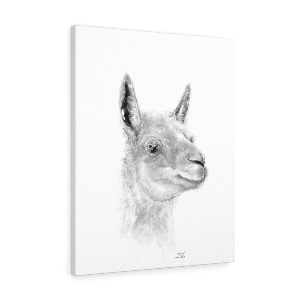 TATUM - Llama Canvas
