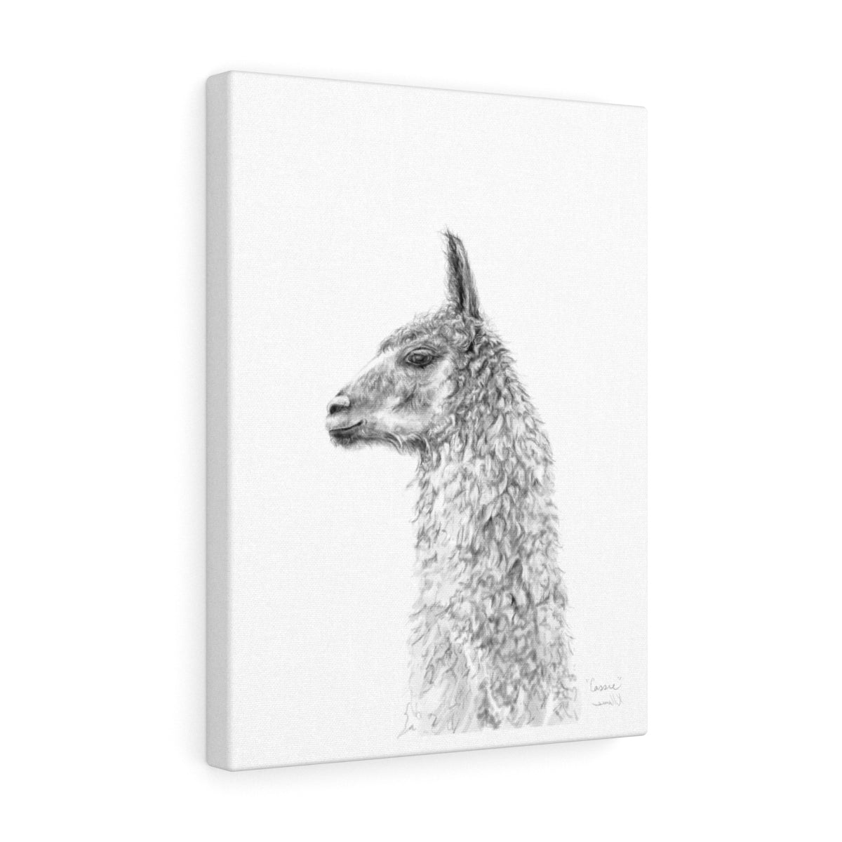 CASSIE Llama - Art Canvas