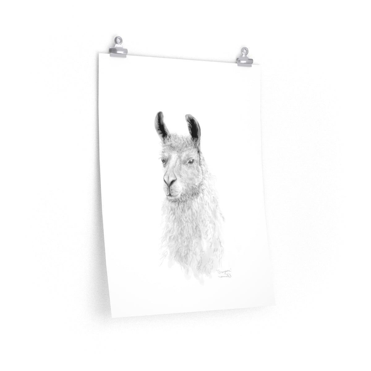 GRAYSON Llama- Art Paper Print