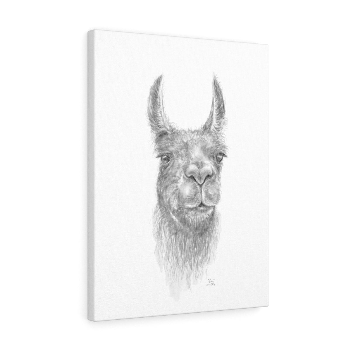 EVAN Llama - Art Canvas