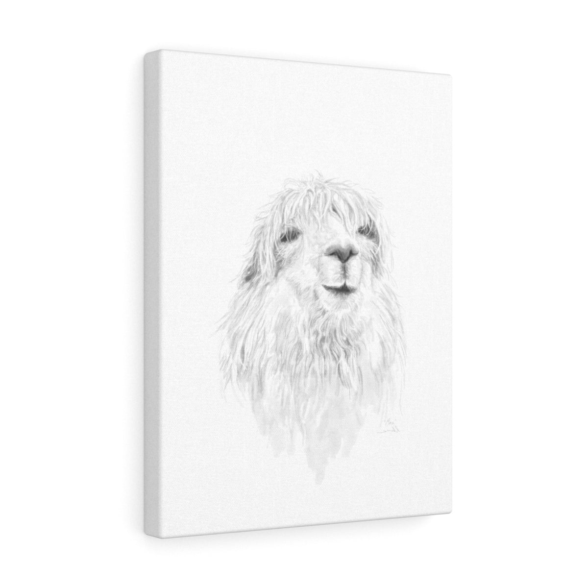 MAX Llama - Art Canvas