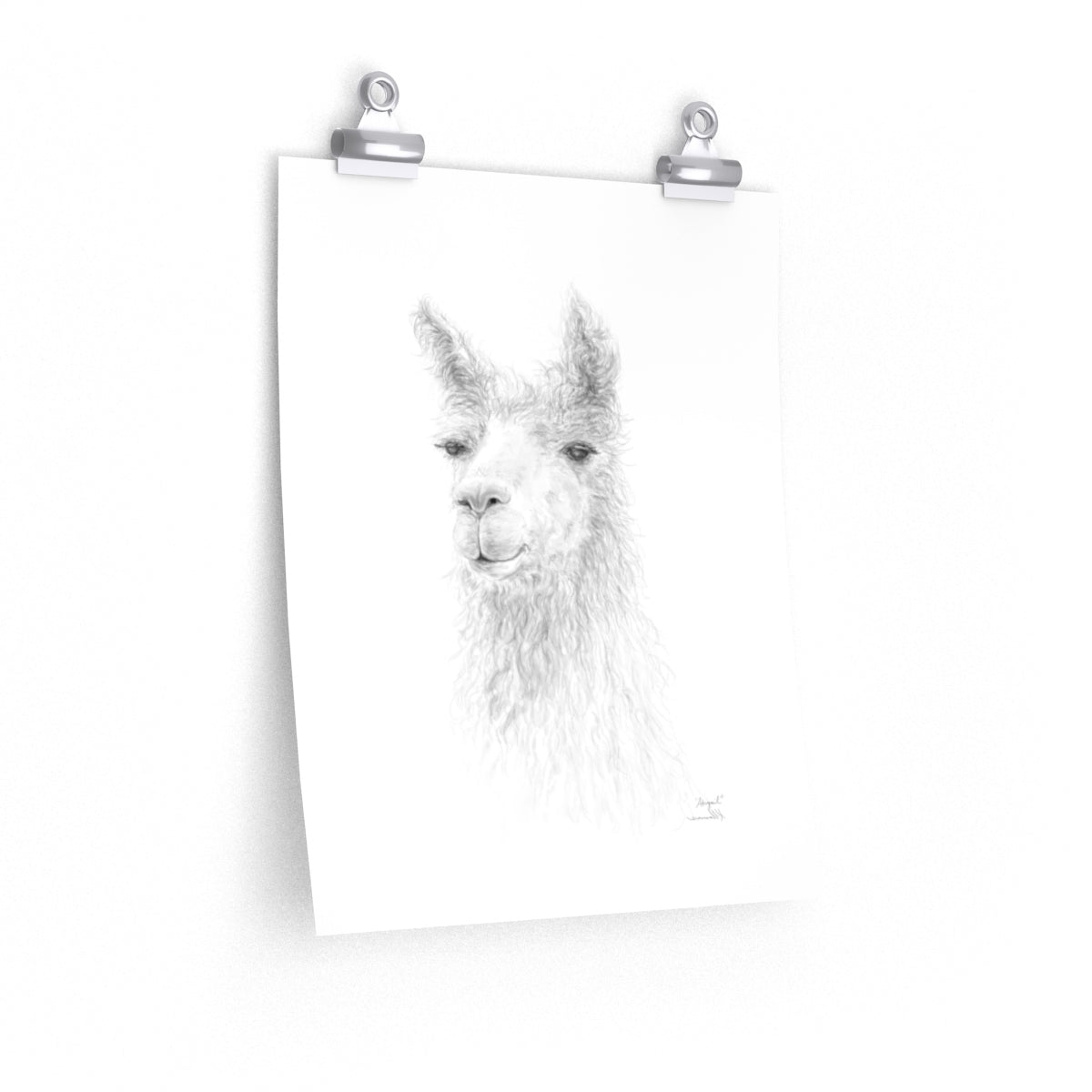 ABIGAIL Llama- Art Paper Print