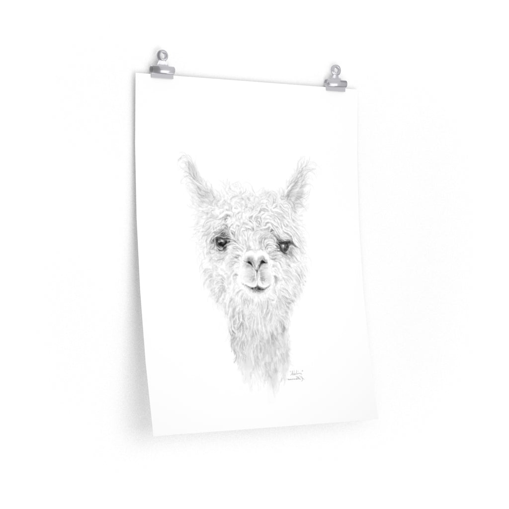 ADELINE Llama- Art Paper Print