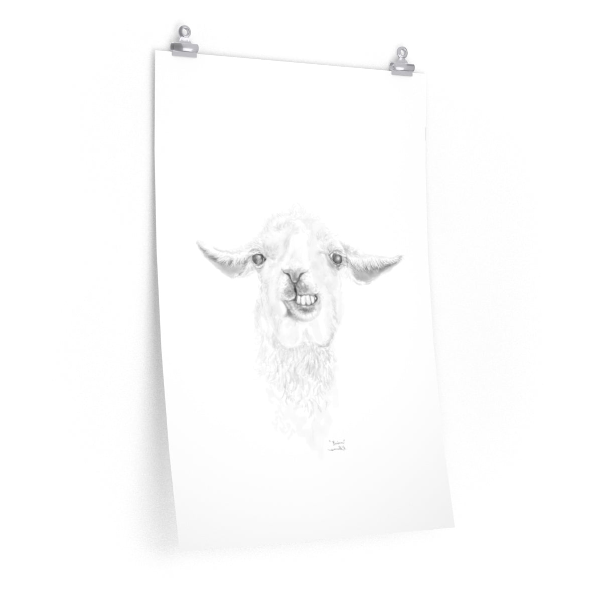 BRIAN Llama- Art Paper Print