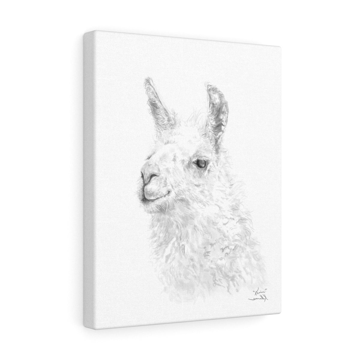 KEVIN Llama - Art Canvas