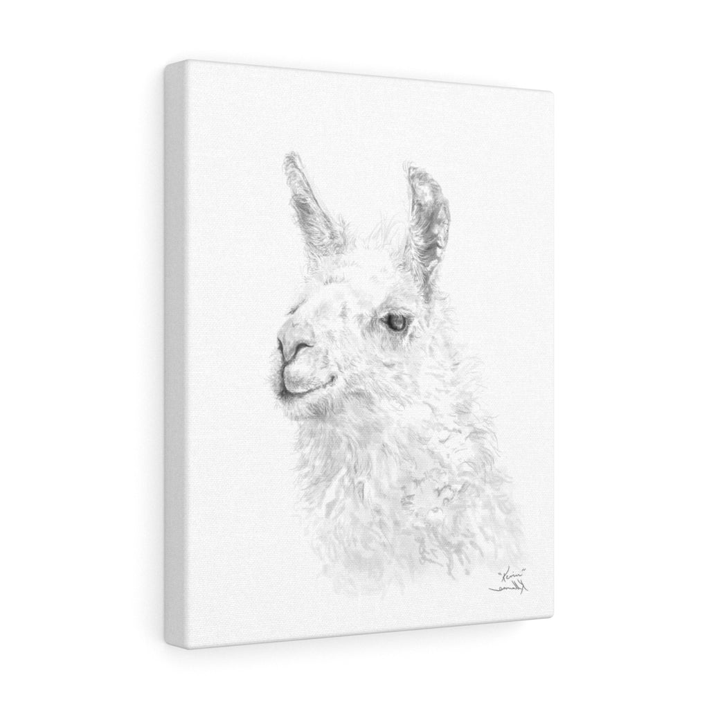 KEVIN Llama - Art Canvas