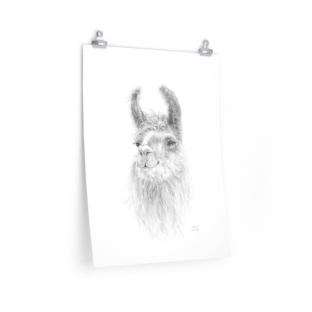 ADELAIDE Llama- Art Paper Print