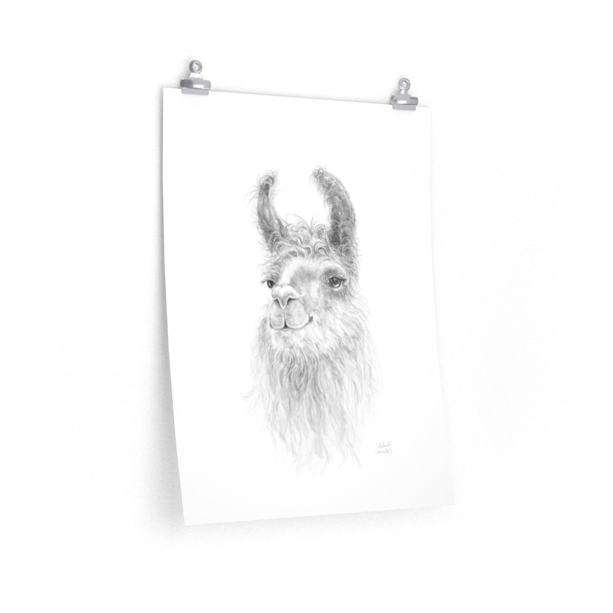 ADELAIDE Llama- Art Paper Print