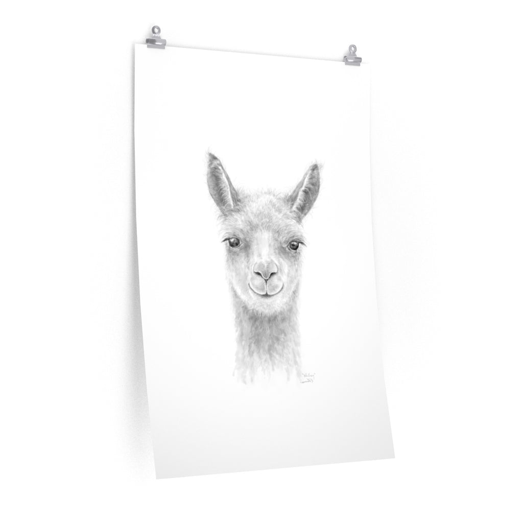 WHITNEY Llama- Art Paper Print