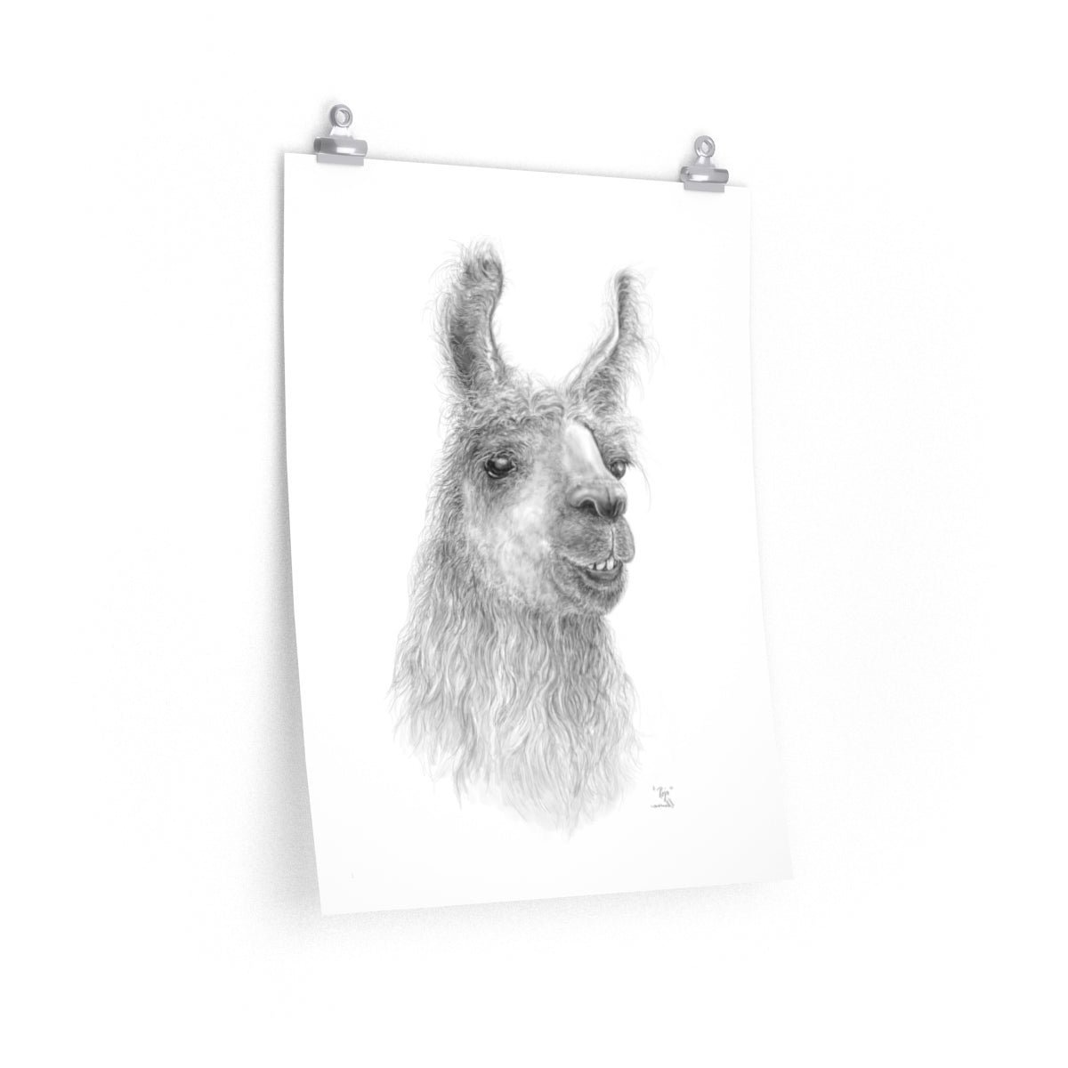 Copy of BILLIE-JO Llama- Art Paper Print