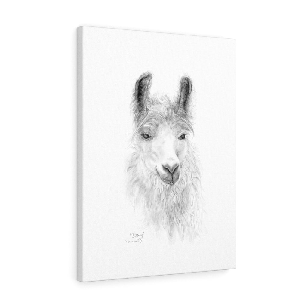 BRITTANY Llama - Art Canvas