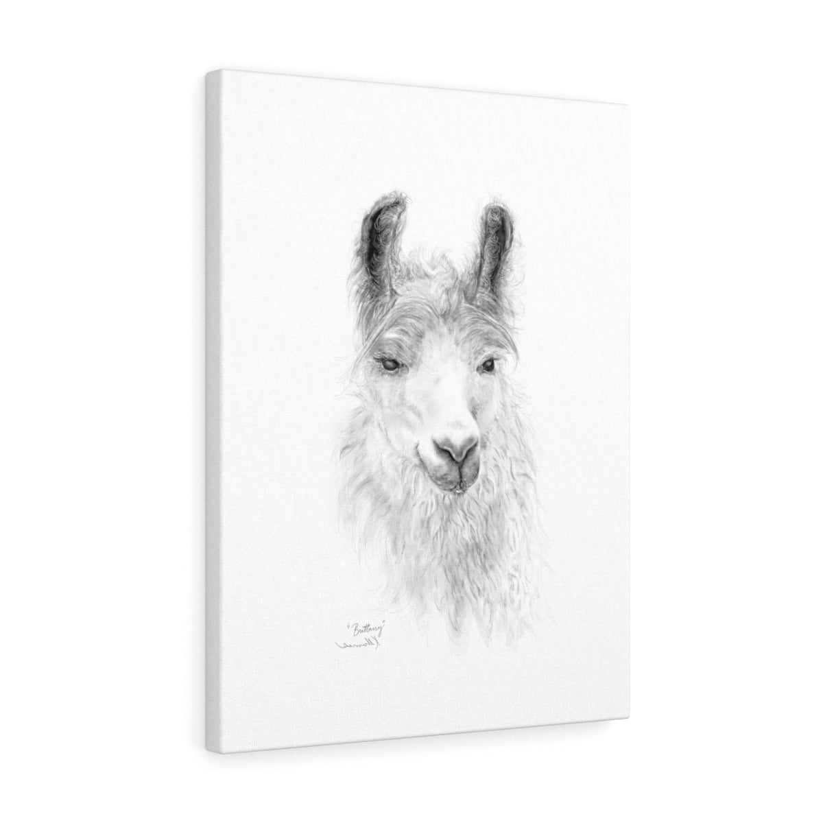BRITTANY Llama - Art Canvas