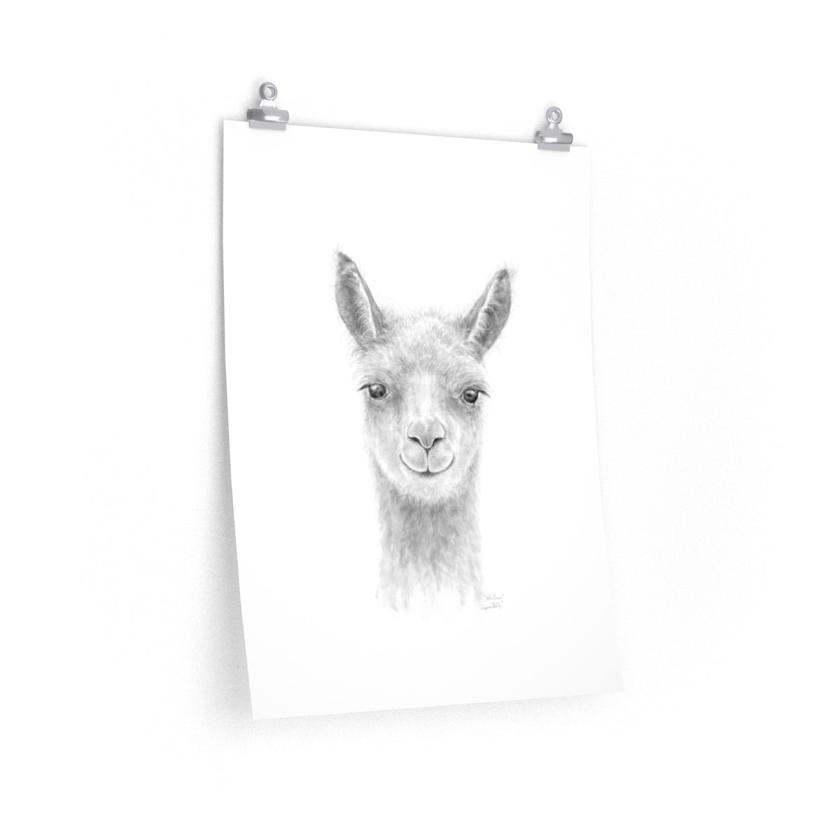 WHITNEY Llama- Art Paper Print