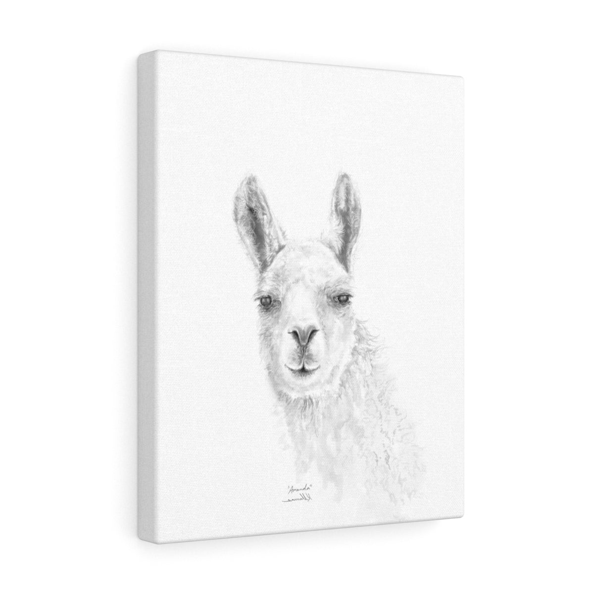AMANDA Llama - Art Canvas