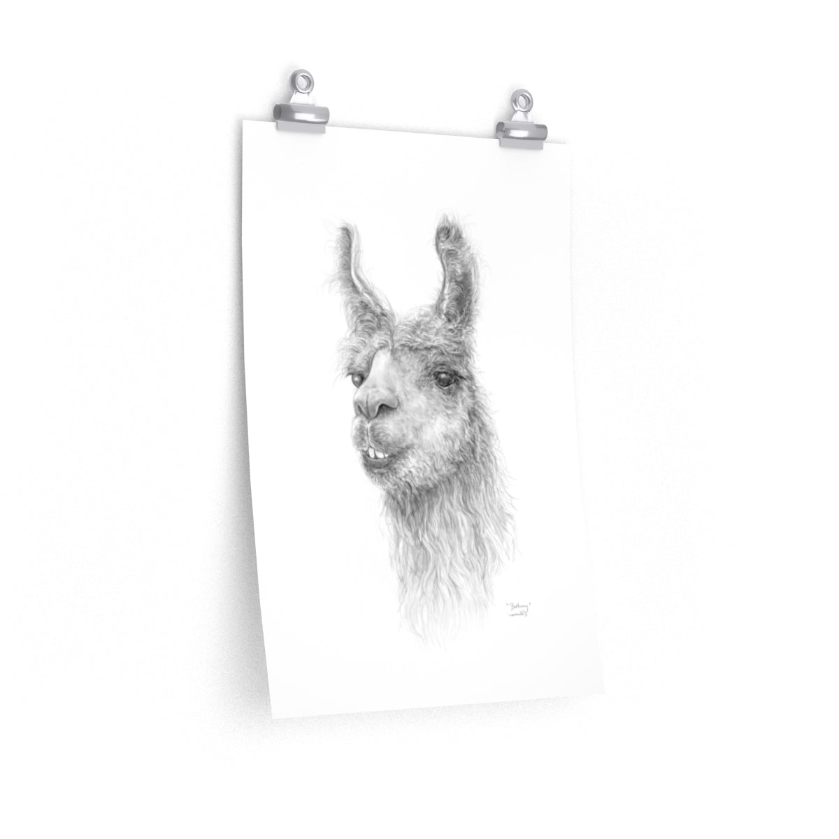 BETHANY Llama- Art Paper Print