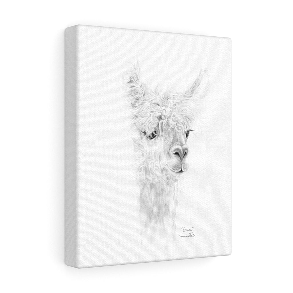 GRACE Llama - Art Canvas