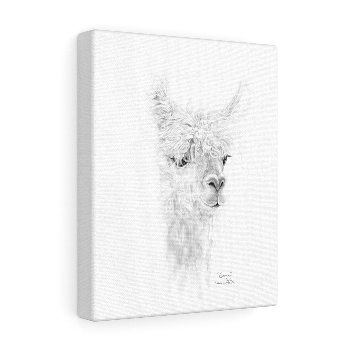 GRACE Llama - Art Canvas