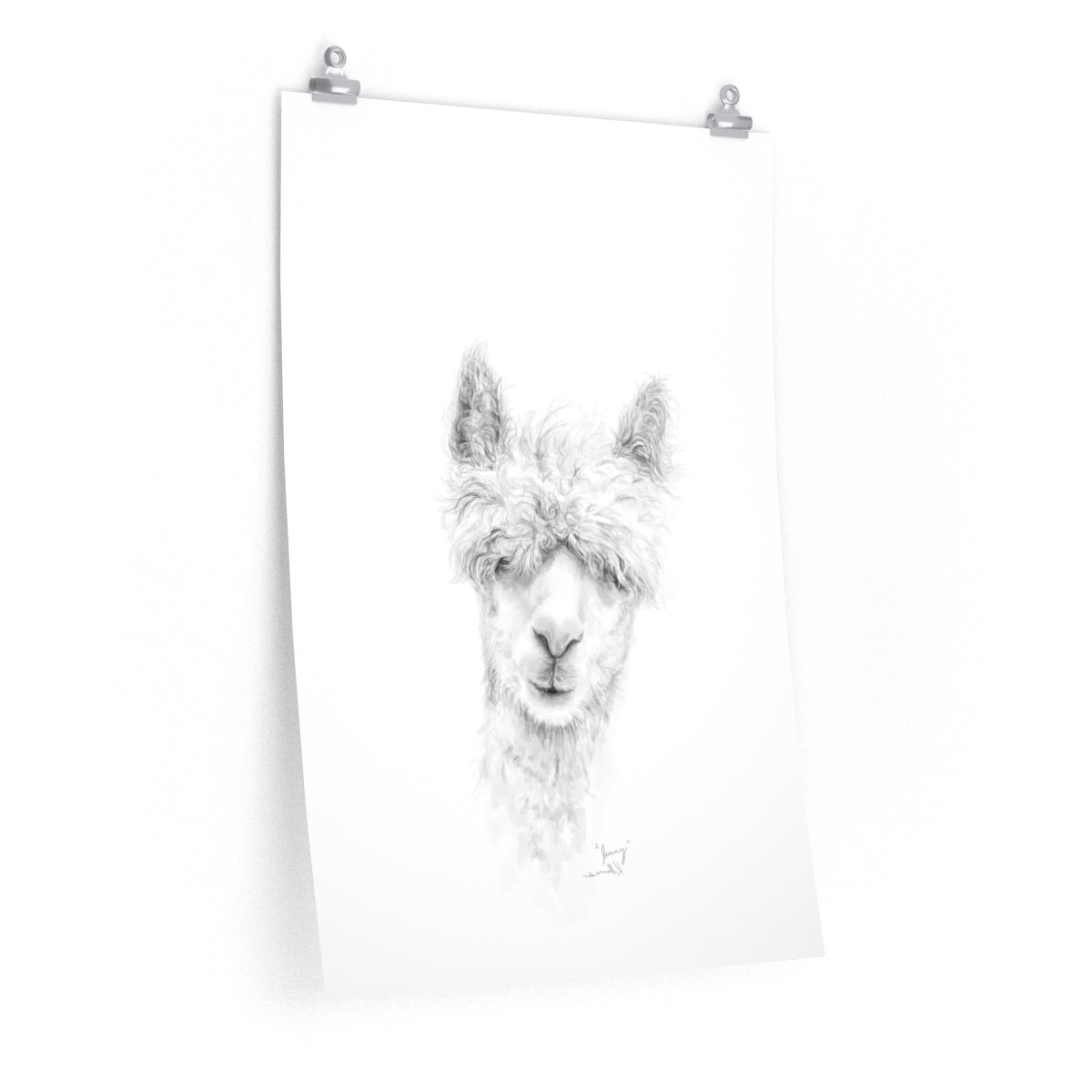 JENNY Llama- Art Paper Print