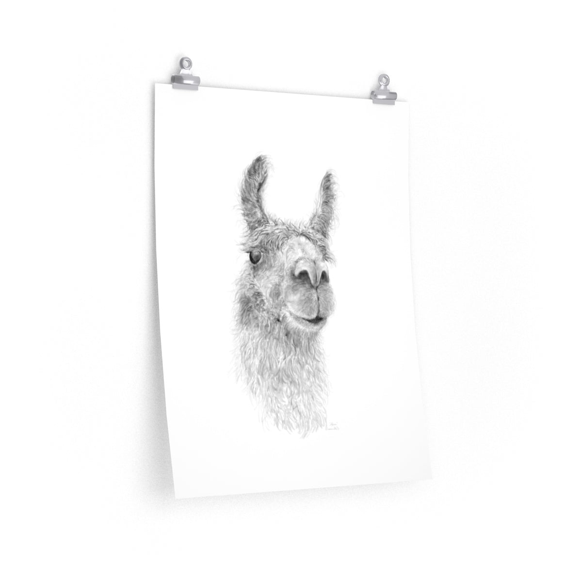 ADREA Llama- Art Paper Print