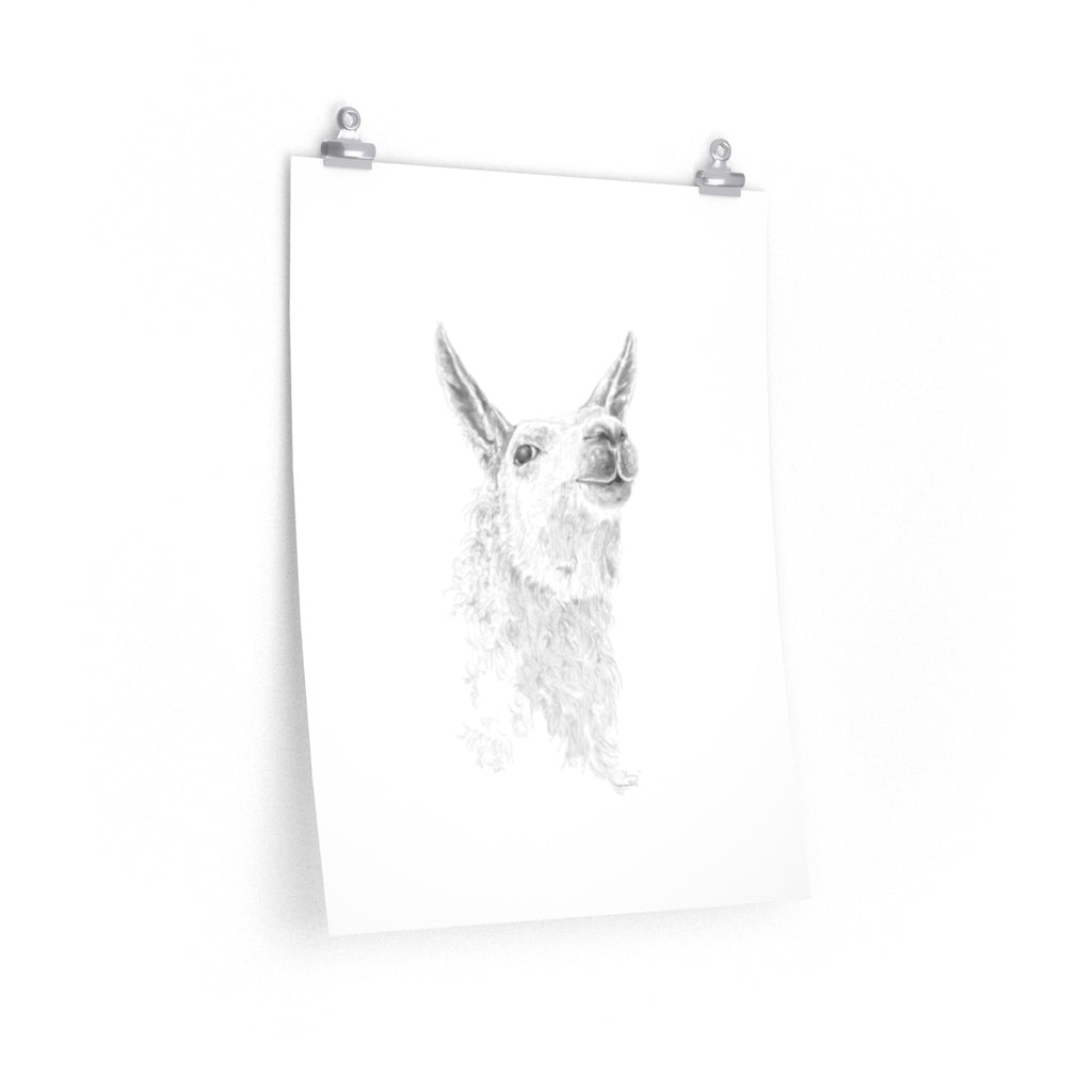 LARRY Llama- Art Paper Print