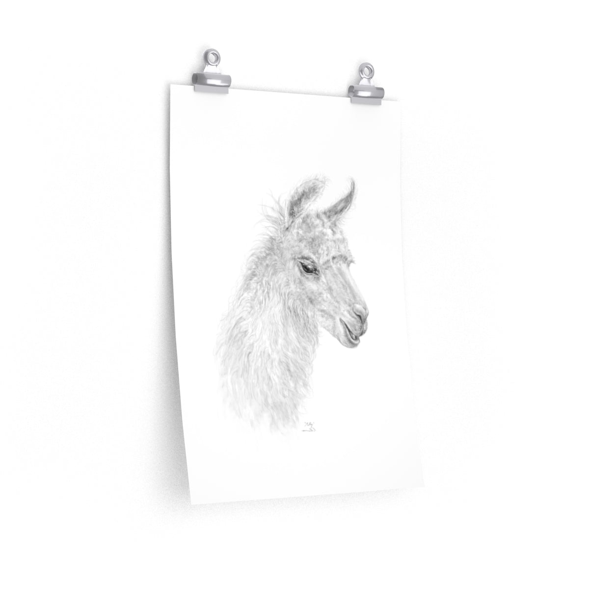 MOLLY Llama- Art Paper Print