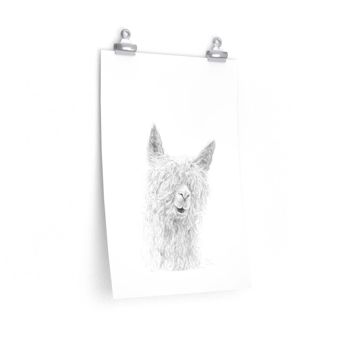 REGINA Llama- Art Paper Print