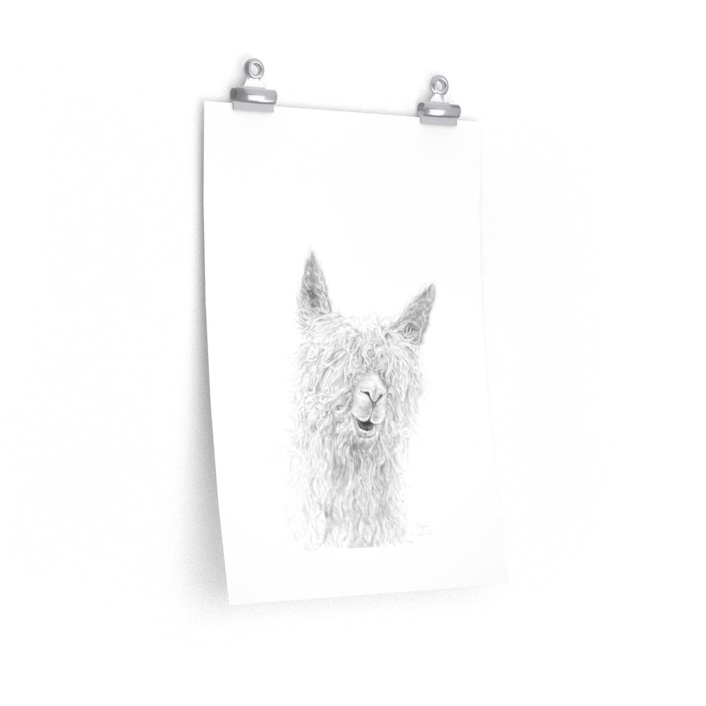 REGINA Llama- Art Paper Print