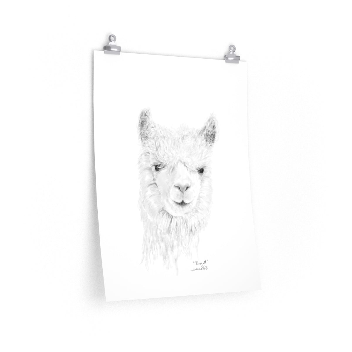 PRESCOTT Llama- Art Paper Print