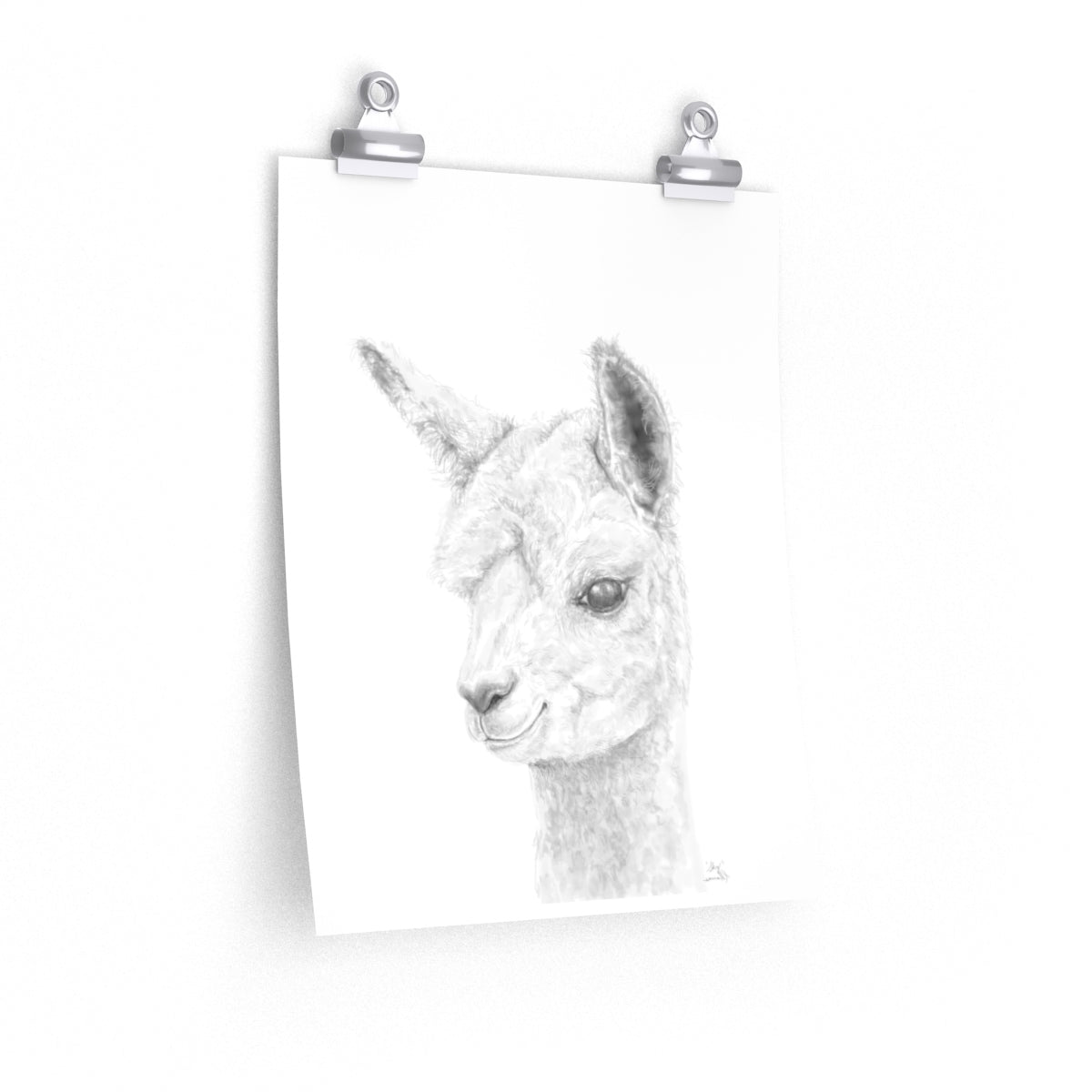SKY Llama- Art Paper Print