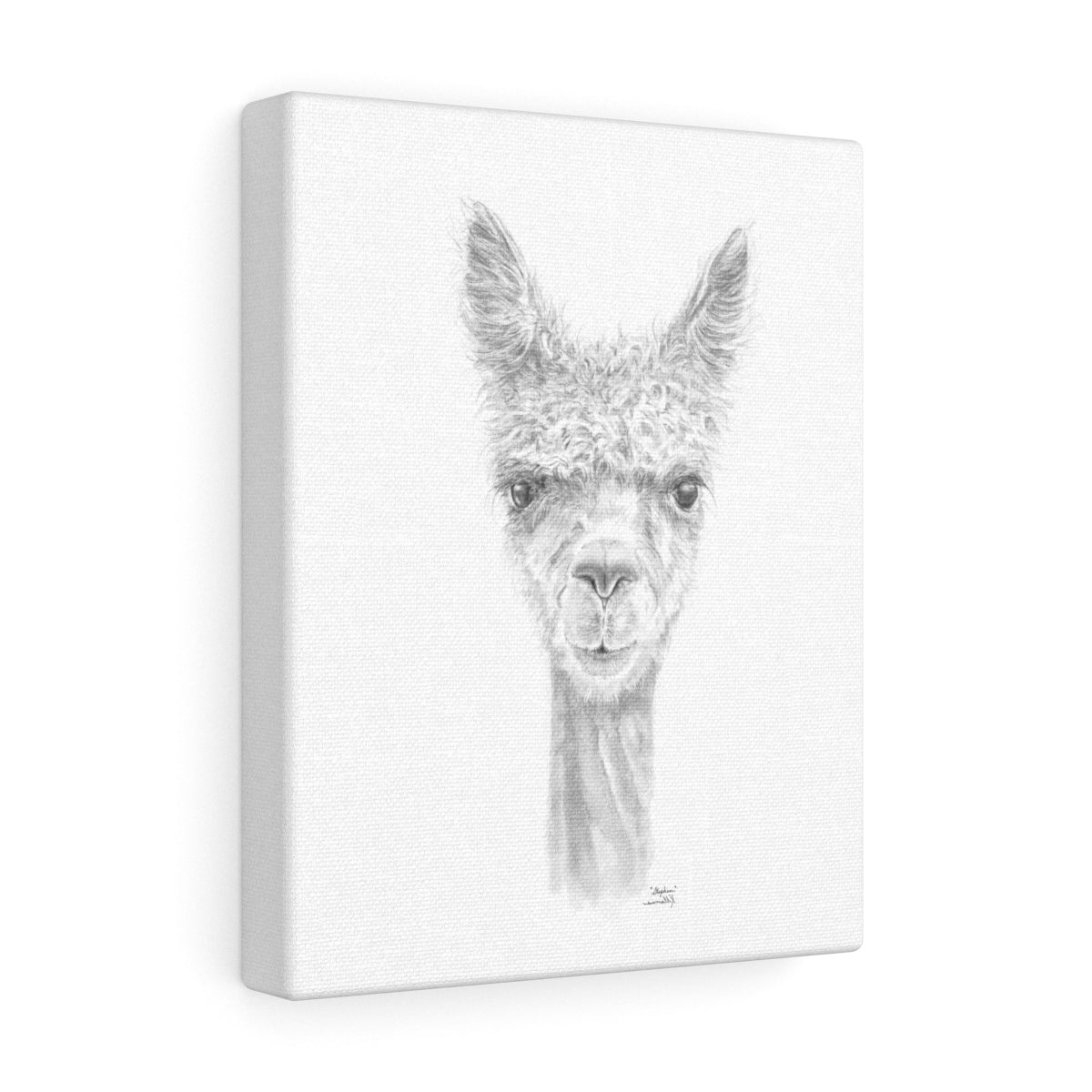 STEPHEN Llama - Art Canvas