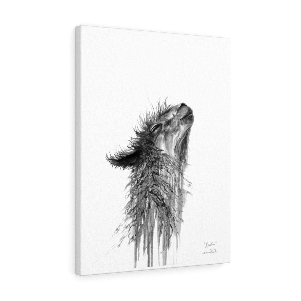 KRISTIN Llama - Art Canvas