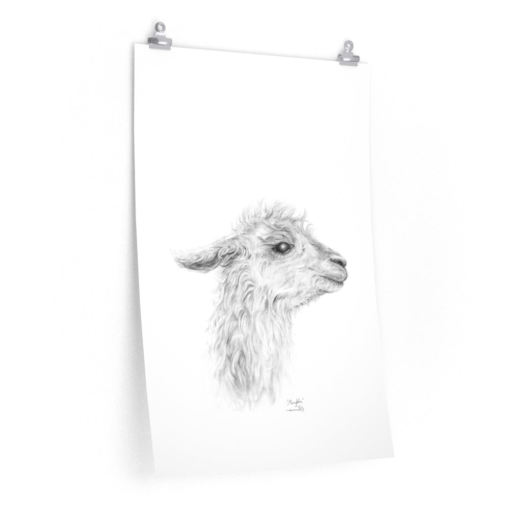 MENGKHA Llama- Art Paper Print