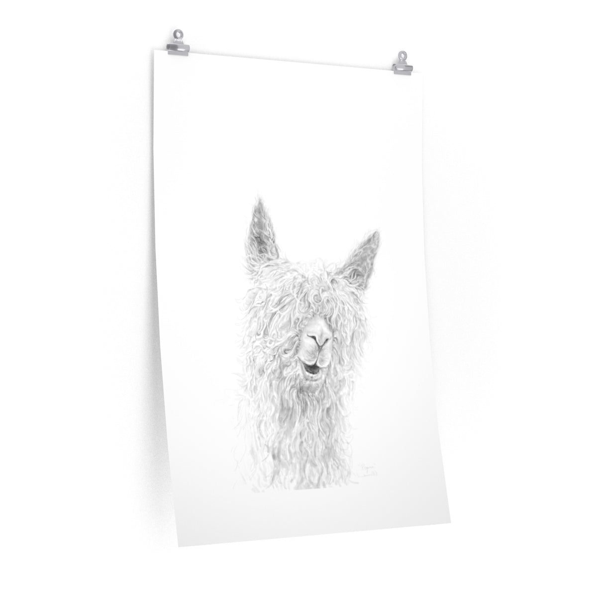 REGINA Llama- Art Paper Print
