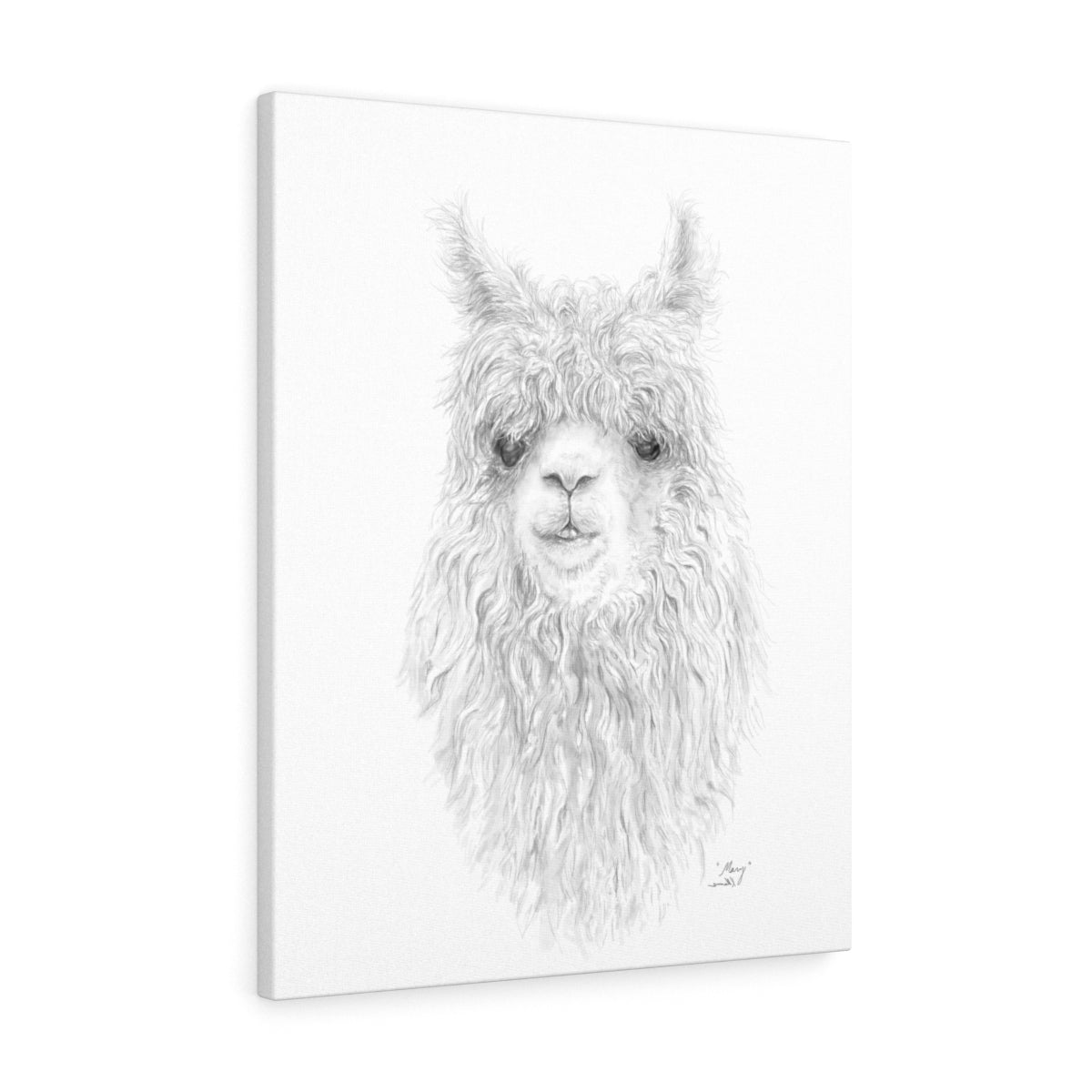 MARY Llama - Art Canvas