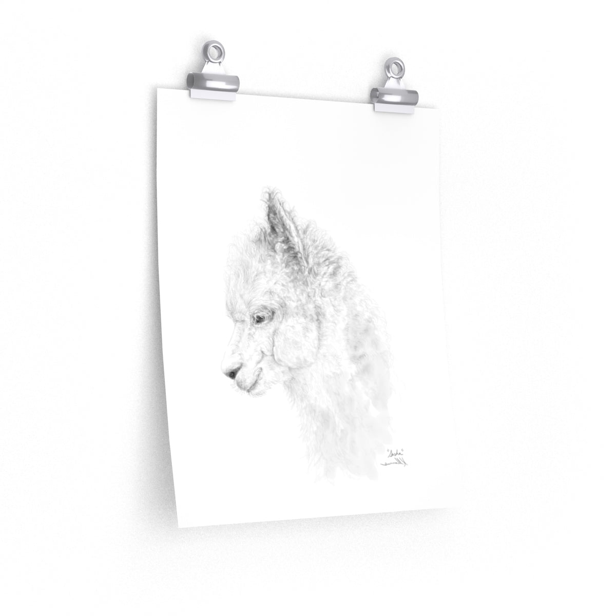 SASHA Llama- Art Paper Print