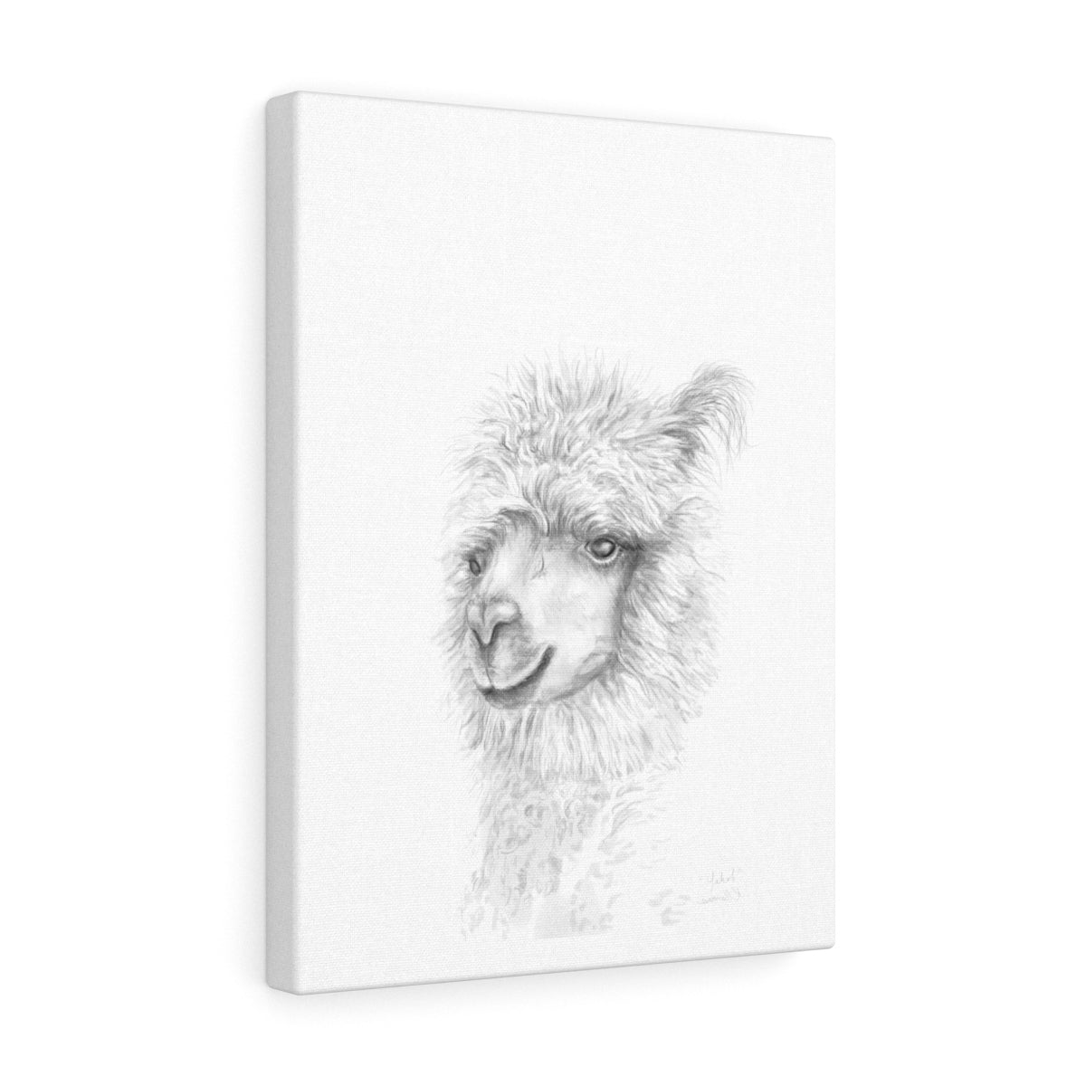 YAKOB Llama - Art Canvas
