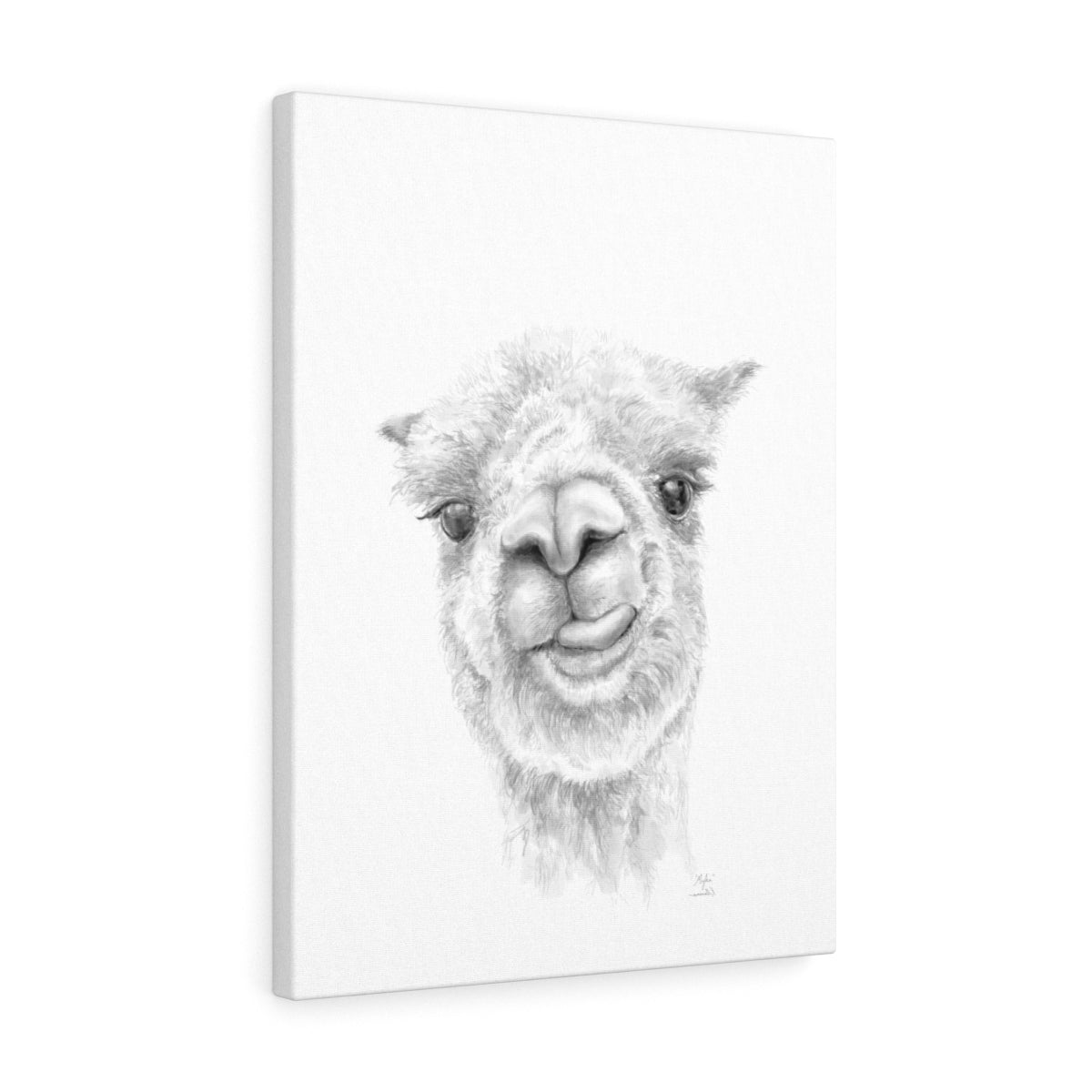Myka Llama - Art Canvas