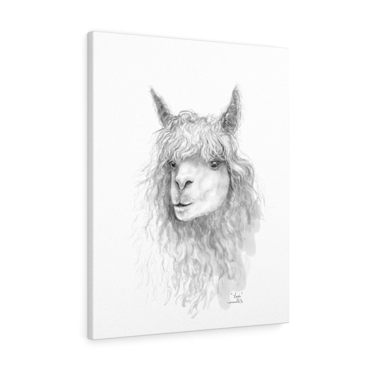 LEXI Llama - Art Canvas