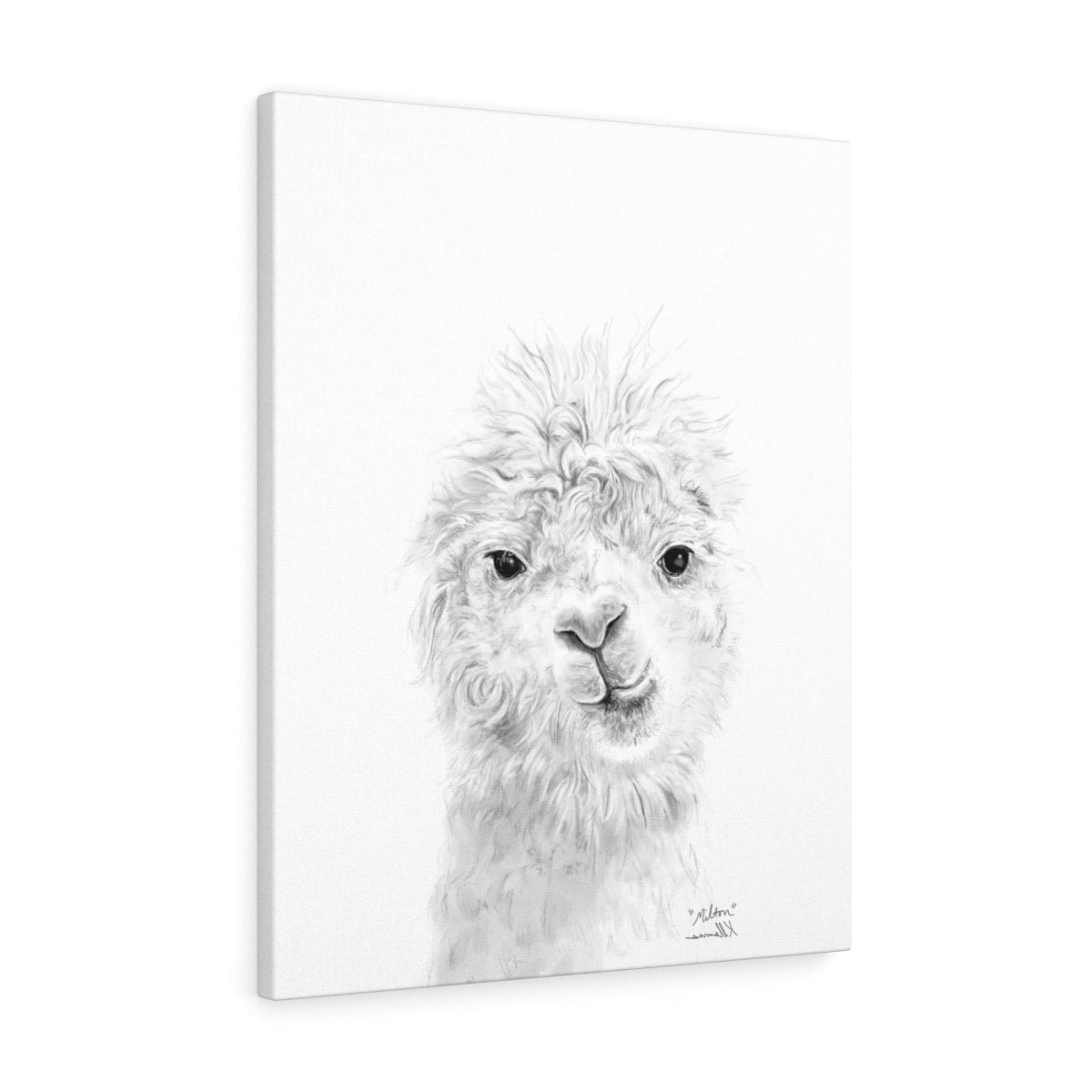 MILTON Llama - Art Canvas