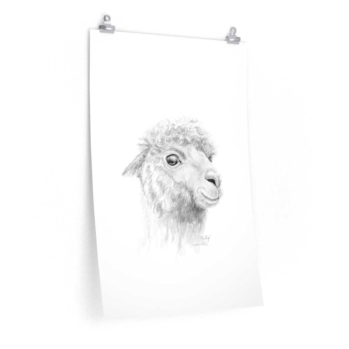 PHILLIP Llama- Art Paper Print
